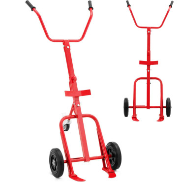 Trolley for transporting...