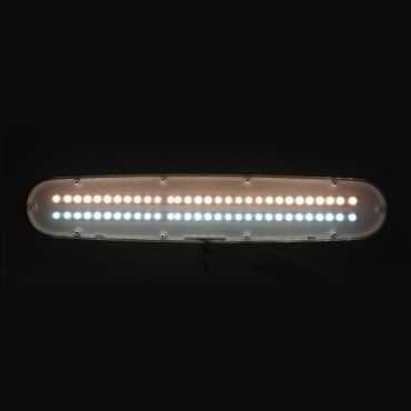 Lâmpada de oficina LED Elegante 801-tl com intensidade e cor de luz branca ajustáveis — vista frontal