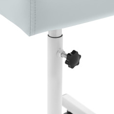 Cosmetische voetsteun voor pedicure instelbare hoogte tot 67 cm tot 80 kg - lichtgrijs