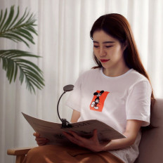 Mini lampe LED pour écran de lecture avec clip gris