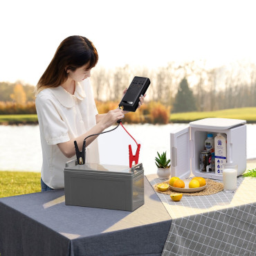 Auto 12-V-Stromwandler für 230V 500W EU- und CN-Stecker