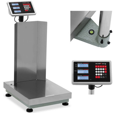 Warehouse platform scale...