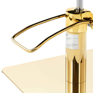 Kapper's kapper. Cosmetisch met een voetenbank Physa Otley - zwart met goud