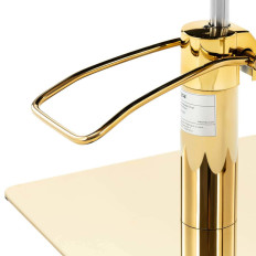 Peluquería de Barber. Cosmética con un reposapiés. Physa Otley - Negro con oro