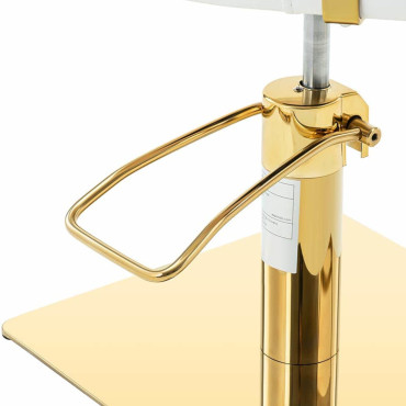 Cabeleireiro de Barber. Cosméticos com uma bolsa de mão Physa OSSTT - Branco com Ouro