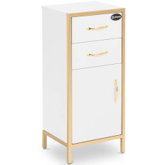 Cabinet cosmétique 1 armoire 2 tiroirs 30 x 35 x 80 cm - Or blanc