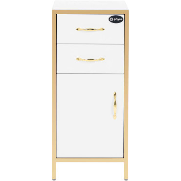 Kozmetički ormar 1 Kabinet 2 ladice 30 x 35 x 80 cm - bijelo zlato