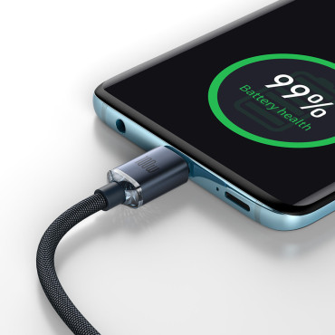 Kabelski kabel za hitro nalaganje in prenos podatkov USB-C USB-C 100W 2M črna