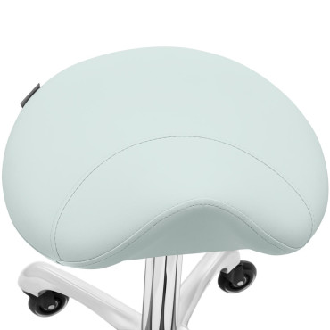 Taburete Taburete Cosmetic Hoker Truck en las ruedas de York de hasta 150 kg Pistacho