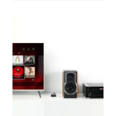 Bluetooth Audio-AudiRter 5.1 APTX 2RCA auf 3,5-mm-Mini-Jack - Schwarz