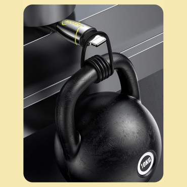 Kabel-Meerjungfrau-Serie iPhone USB - Blitz 2.4A 2M schwarz