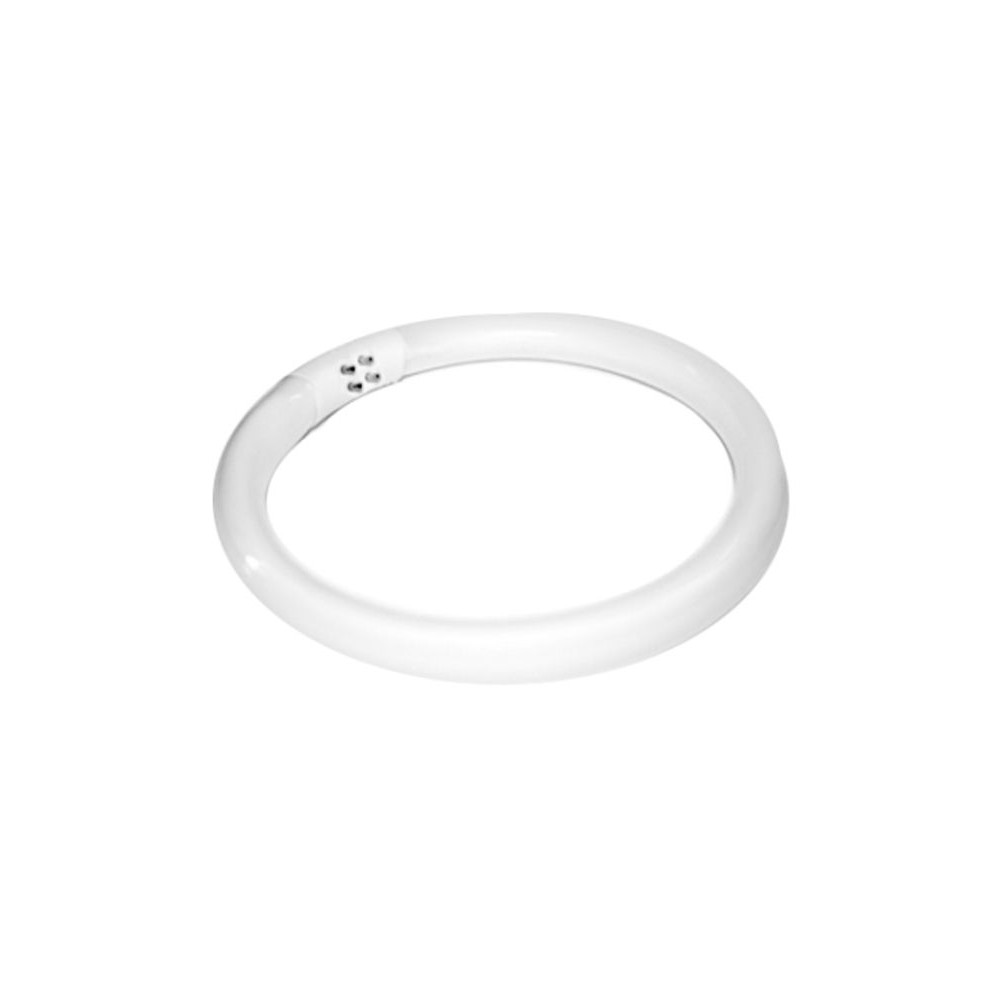 Incandescent lamp (fluorescent) 22w magnifier lamp s4 — close-up