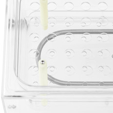 Bagno d'acqua di laboratorio. Trasparente 5-100C 9 l