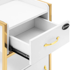 Kosmetisk kabinet 1 Kabinet 1 Skuffe 38 x 32 x 82 cm - hvidguld