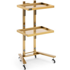 Klaidonis frizieris metāla metāla 2 plaukti 40 x 86 x 50 cm - zelta