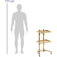 Stroller Hairdresser Metal Metal 2 Shelves 40 x 86 x 50 cm - Golden