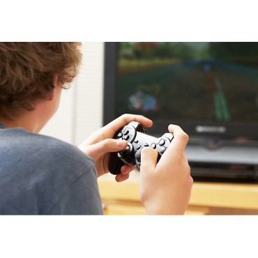 Câble d'extension pour câble noir USB 1M