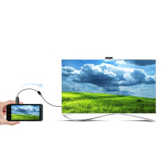 Kabel HDMI Adapterkabel - Micro HDMI 20cm Svart