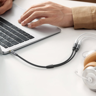 AUX 3.5mm kabelverdeler Herenhoofdtelefoons en vrouwelijke microfoon 20cm zwart