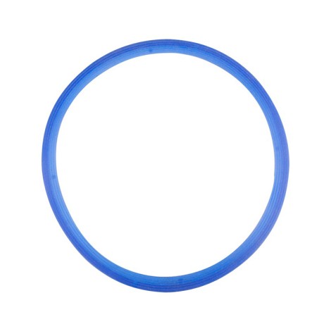 Lafomed silicone gasket for autoclaves 8l