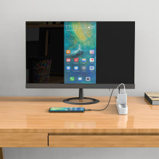 2in1 omrežni polnilnik z USB-C kabla + adapter adapter USB-C - HDMI 4K bela