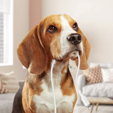 Kabelový kabel pro iPhone MFI USB - blesk 2.4a 1.2m Černá