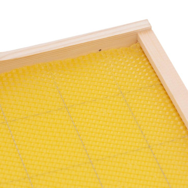 Caixa para Ula Langstroth Pasaczna Pine com um nó de 232 mm - 20 peças