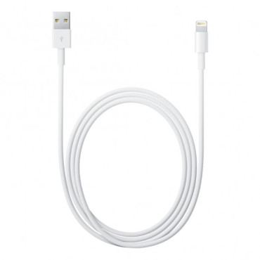 Apple Αρχικό καλώδιο καλωδίου για το iPhone USB-A - Lightning 1m White