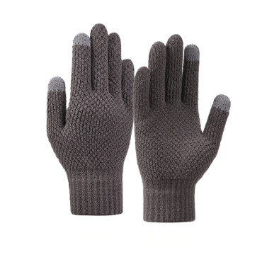 Vinter Touch Gloves för 22x11cm Unisex Gray