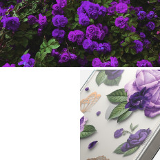 Boîtier blindé avec cadre en gel iPhone 14 Plus Fusion Design Violet Rose transparente