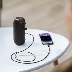 Câble audio stéréo pour iPhone iPad Aux 3.5mm Mini Jack - Lightning 1.2m noir