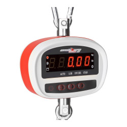 Hängende Hakenschale mit Fernbedienung 300kg - LED