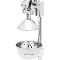 Bar Citrus Citrus Orange Hand Sit Sitrus