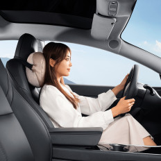 Auto hoofdsteunkussen met 2 comFortride-serie-serie