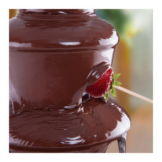Fondune fondue met stalen chocolade 4 verdiepingen 230w