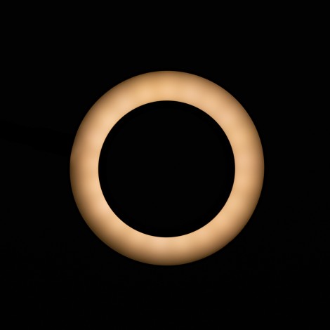 ACTIVESHOP SNAKE RING LED Vergrootlamp Zwart voor Bureau — bovenaanzicht