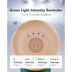 Massagerassagemassage 4 Köpfe für den ganzen Körper SKG F3-en - grün