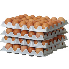 Eierlade naar de Ovobox 120-container - een set van 4 items.
