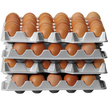 Bandeja de ovos para o recipiente Ovox 120 - um conjunto de 4 itens.