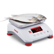 Valor 4000 Gewicht met Catering Keuken Legalisatie Waterdichte IP68 LED 15kg / 5G - OHAUS V41pwe15t-meter