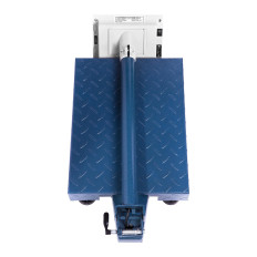 Bilancia pieghevole SBS-PF-100A8 ha portato fino a 100 kg