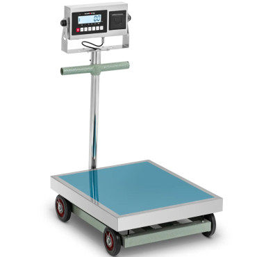 Platforma s tiskalnikom LCD nalepkami 60 x 50 cm 600 kg / 100 g