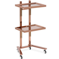 HELP Hairdresser Cosmetic 2 Folding Shelves - Pink Gold