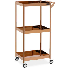 Hairdresser Cosmetic 3 Shelves - Pink Gold