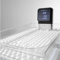 Boules pour la méthode de cuisson Sous-vidéo mercredi. 20 mm - un ensemble de 500 pièces.