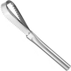 Raspador para eliminar escalas con pescado de acero 240 x 46 mm