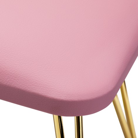 Support Manucure 6M Golden Pink — gros plan surface