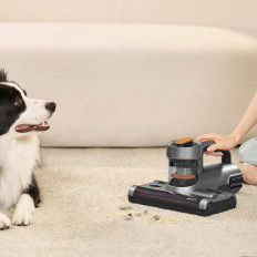 Aspirador de aspirador para maternets de alergia. Esterilização de ácaros UV e ultra-som JIMMY BX7 600W - Cinza de prata