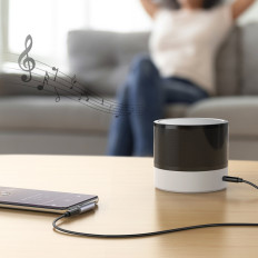 Adapter Angular Audio Audio-adapter (Mannelijk) - Minijack 3.5mm (Vrouw) - grijs