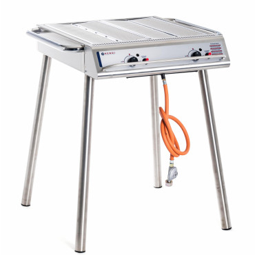 Professional gas grill...